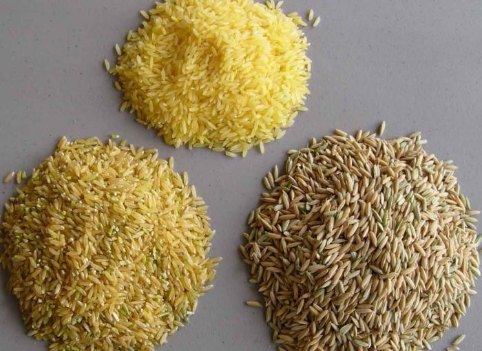 איך לבשל אורז ב multivariate