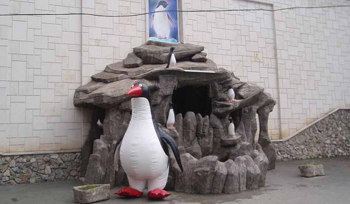 פינגווינים בדרום? כן, יש penguinarium Lazarevsky באתר הנופש!